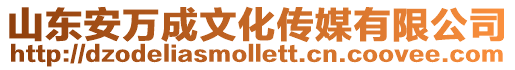 山東安萬成文化傳媒有限公司