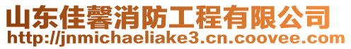 山東佳馨消防工程有限公司