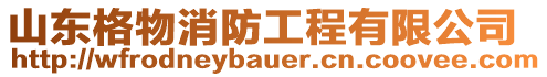 山東格物消防工程有限公司