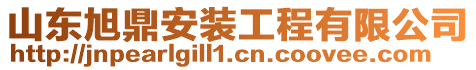 山東旭鼎安裝工程有限公司