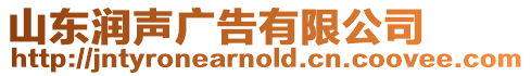 山東潤聲廣告有限公司