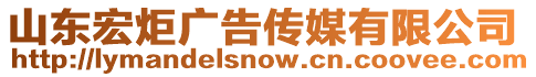 山東宏炬廣告傳媒有限公司