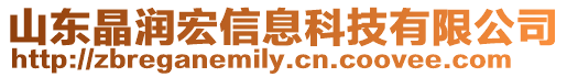 山東晶潤宏信息科技有限公司