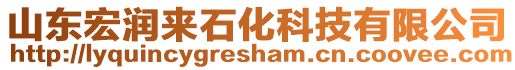 山東宏潤來石化科技有限公司