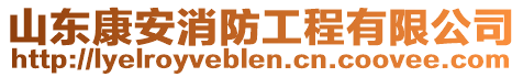 山東康安消防工程有限公司