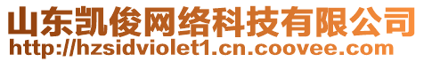 山東凱俊網(wǎng)絡(luò)科技有限公司