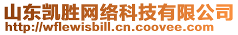 山東凱勝網(wǎng)絡(luò)科技有限公司