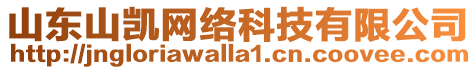 山東山凱網(wǎng)絡(luò)科技有限公司