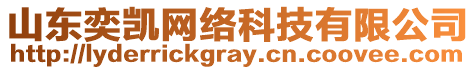 山東奕凱網(wǎng)絡科技有限公司