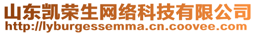 山東凱榮生網(wǎng)絡(luò)科技有限公司