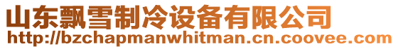 山東飄雪制冷設備有限公司