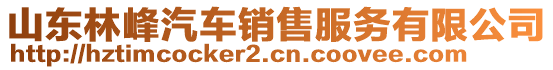 山東林峰汽車銷售服務(wù)有限公司