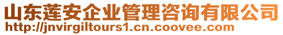 山東蓮安企業(yè)管理咨詢有限公司