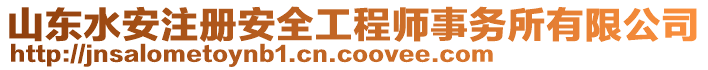 山東水安注冊安全工程師事務(wù)所有限公司