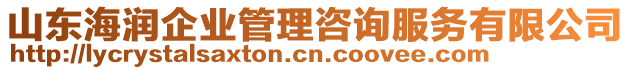 山東海潤企業(yè)管理咨詢服務有限公司