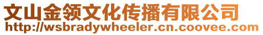 文山金領(lǐng)文化傳播有限公司