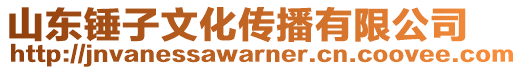 山東錘子文化傳播有限公司