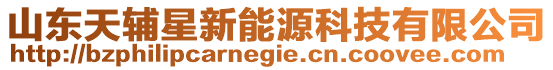 山東天輔星新能源科技有限公司