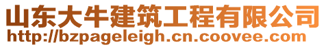 山東大牛建筑工程有限公司