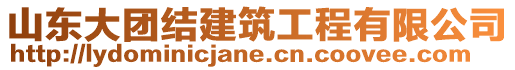 山東大團結建筑工程有限公司