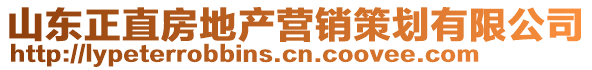 山東正直房地產(chǎn)營銷策劃有限公司