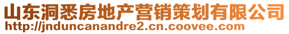 山東洞悉房地產(chǎn)營銷策劃有限公司