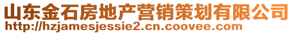 山東金石房地產(chǎn)營銷策劃有限公司