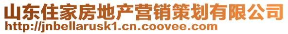 山東住家房地產(chǎn)營銷策劃有限公司