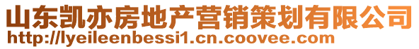 山東凱亦房地產營銷策劃有限公司