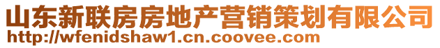 山東新聯(lián)房房地產(chǎn)營銷策劃有限公司