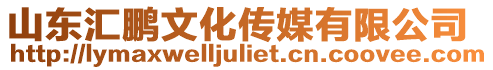 山東匯鵬文化傳媒有限公司