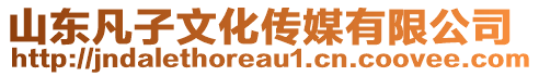 山東凡子文化傳媒有限公司
