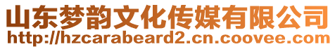 山東夢韻文化傳媒有限公司