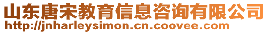 山東唐宋教育信息咨詢有限公司