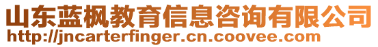 山東藍(lán)楓教育信息咨詢有限公司