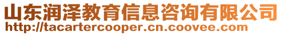 山東潤澤教育信息咨詢有限公司