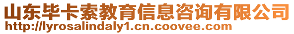 山東畢卡索教育信息咨詢有限公司