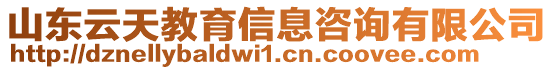 山東云天教育信息咨詢有限公司