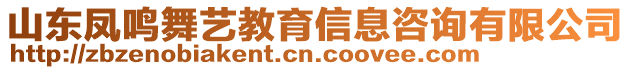 山東鳳鳴舞藝教育信息咨詢有限公司