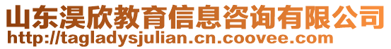 山東淏欣教育信息咨詢有限公司