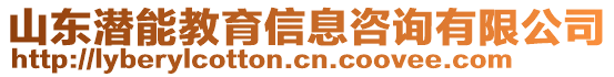 山東潛能教育信息咨詢有限公司