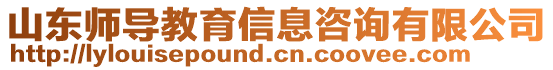 山東師導教育信息咨詢有限公司