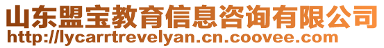 山東盟寶教育信息咨詢有限公司