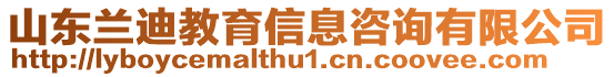 山東蘭迪教育信息咨詢有限公司