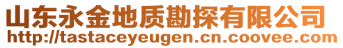山東永金地質(zhì)勘探有限公司