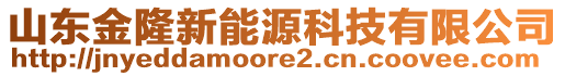 山東金隆新能源科技有限公司