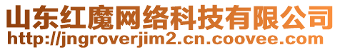 山東紅魔網絡科技有限公司