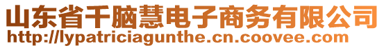 山東省千腦慧電子商務有限公司