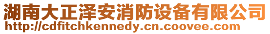 湖南大正澤安消防設備有限公司
