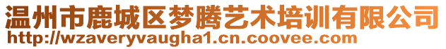 温州市鹿城区梦腾艺术培训有限公司